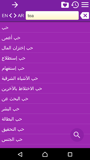English Arabic Dictionary screenshot 3