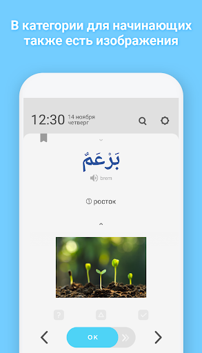WordBit арабский язык Screen 3