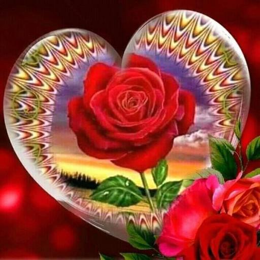 صور زهور وورود متحركة التطبيقات على Google Play