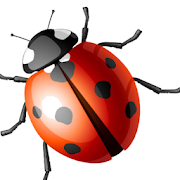 Top 27 Education Apps Like Agro-Insects - कीट ज्ञान - Best Alternatives