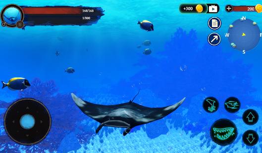 The Manta rays 1.0.4 APK screenshots 9