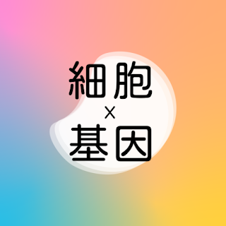 訊聯x創源 apk