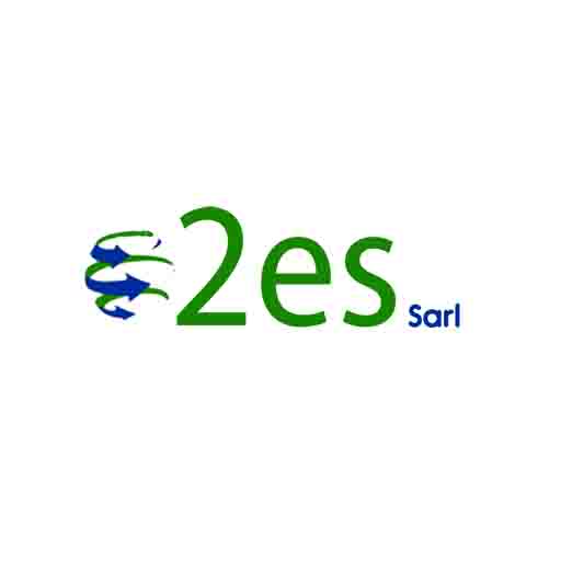 CRM & POS 2esgroup logo