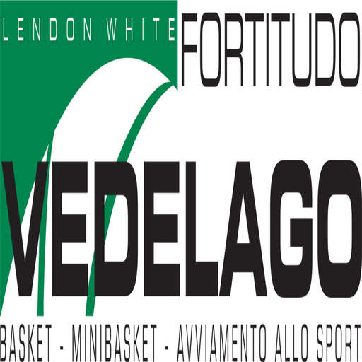 CSI Fortitudo Vedelago logo