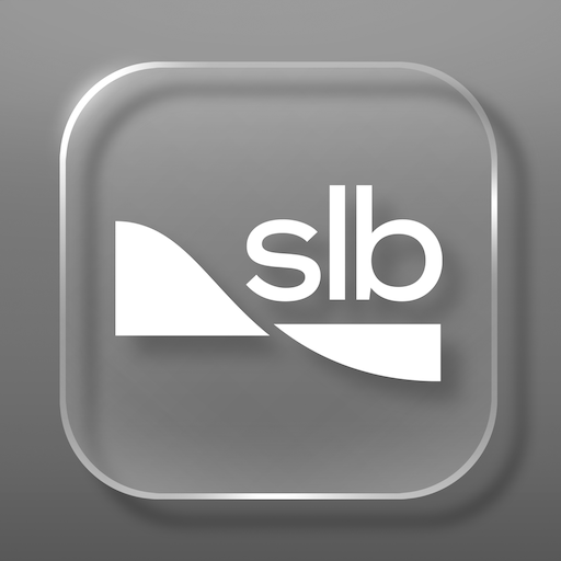 SLB Delivery Mgr  Icon
