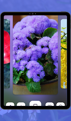 Flowers Wallpaper HD 4Kのおすすめ画像5