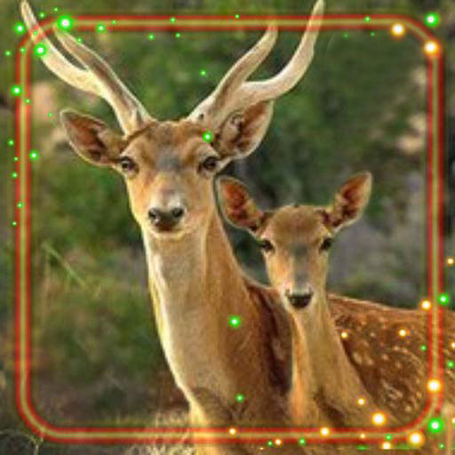 Forest Deer Live Wallpaper  Icon