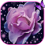 Rose aroma gleam purple theme icon
