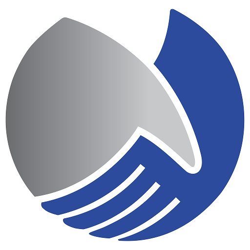 Logo dosti blue circle