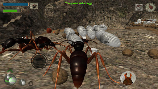 Ant Simulation 3D Screen 3