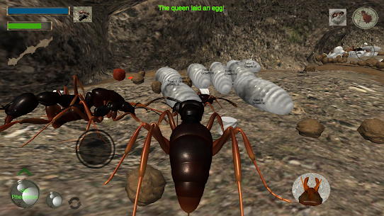 Ant Simulation 3D – Insect Sur 3