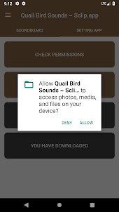 Quail Bird Sounds ~ Sclip.app
