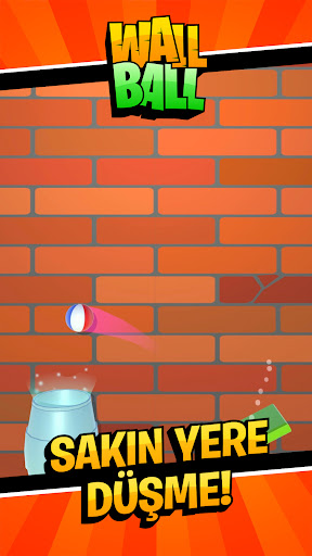 Wall Ball Screen 3
