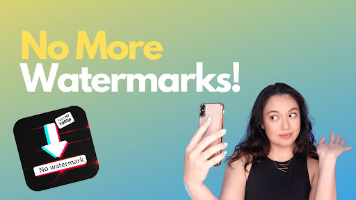 Tik Downloader No Watermark