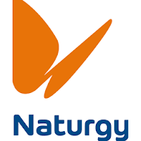 Naturgy - consulta a rede de distribuição
