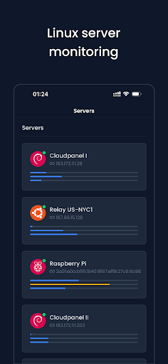 Netweak: Server Monitoring Screen 2