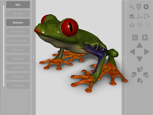 3D Frog Skeleton screenshot 16