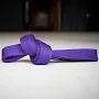 Purple Belt Requirements 2.0