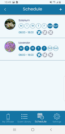 OlfaPure Screen 3