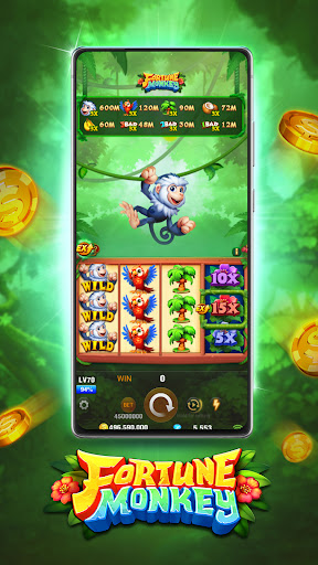 Fortune Monkey Slot-TaDa Games 21