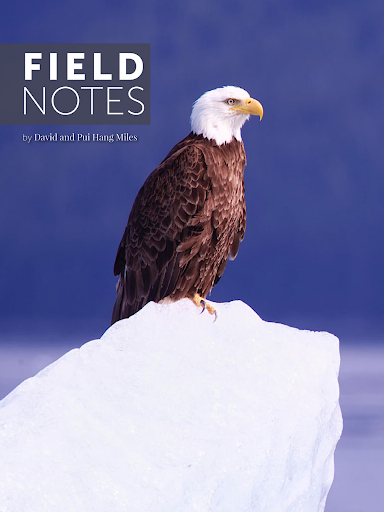 Android application Wildlife Photographic Magazine screenshort