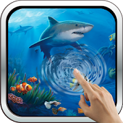 Interactive Shark