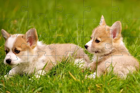 Puppy kitten jigsaw puzzles