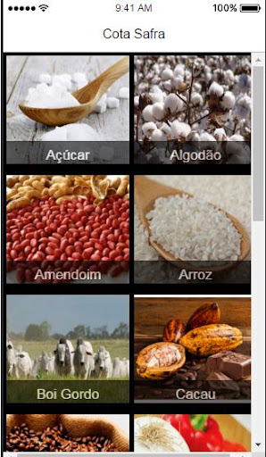 CotaSafra - Cotações Agrícolas
