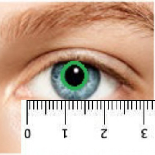 Pupilometer logo