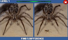 Spider Hidden Differenceのおすすめ画像1