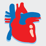 Heart Failure icon