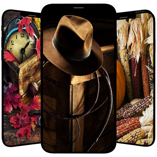Western Wallpapers logo