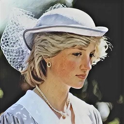 Princess Diana(Biography, fact