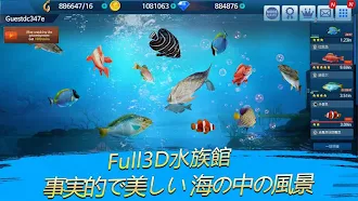 Game screenshot 釣り 選手権 apk download