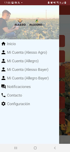 Grupo Allo Screen 2