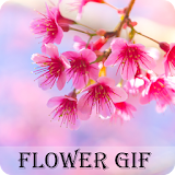 Flower GIF 2019 icon