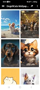 Dogs&Cats Wallpapers