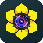 Cover Image of Download Gallery  APK