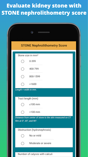 Android application Kidney Stone Scoring screenshort