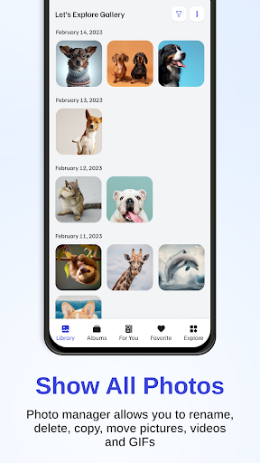 Gallery & File Manager Screen 3