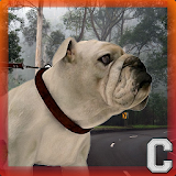 Bulldog Simulator icon