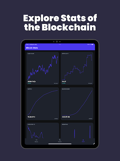 Screenshot of Bitcoin Block Explorer