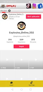 Explosiva online 502