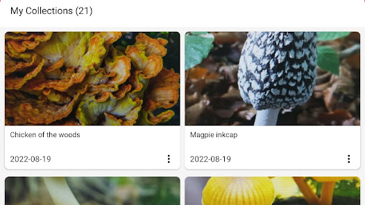 Picture Mushroom – Mushroom ID Mod APK 2.9.19 (Unlocked)(Premium) Gallery 9