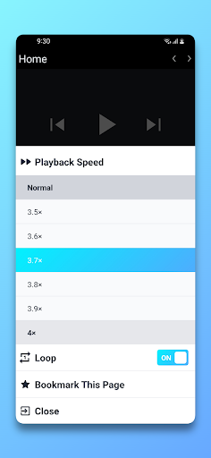 Video Speed Control Browser Screen 3