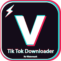 Загрузчик видео для TikTok
