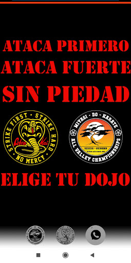Android application Wiki Cobra Kai - Guia Completa screenshort