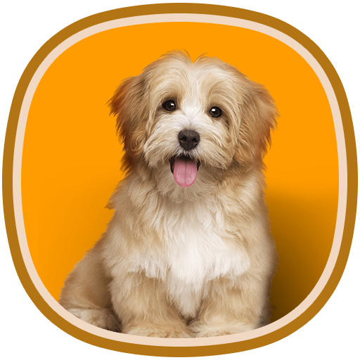 Animals for kids 1.1 Icon