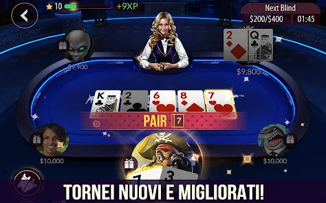 Immagine screenshot