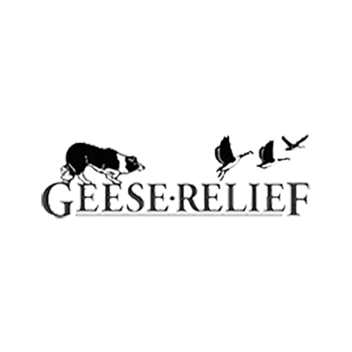 Geese Relief  Icon